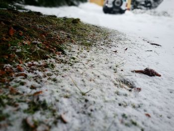 Close-up of snow