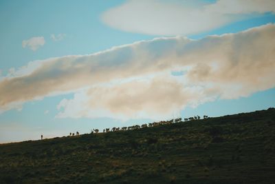 Low angle view of mountain against sky