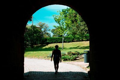 Rear view of man walking amidst trees