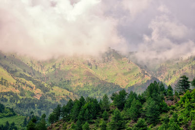Scenic view of trees and mountains against sky