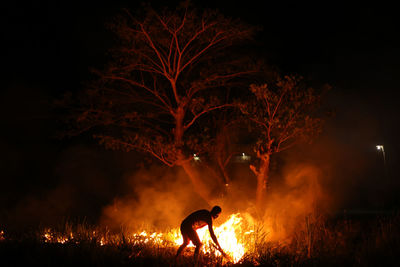 Silhouette man burning plants at night