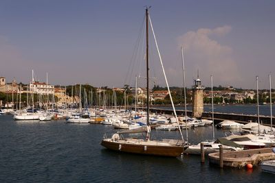 Sailboats moored in harbor