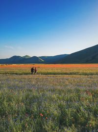 Two people walking on countryside landscape