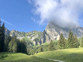 Panoramic view of trees and mountains against sky