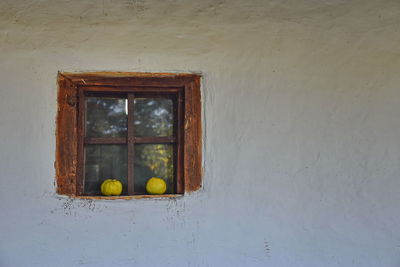 Pumpkins on closed window