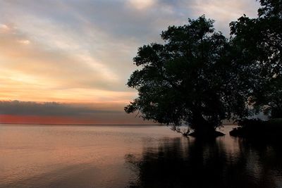 Silhouette tree by lake against sky during sunset