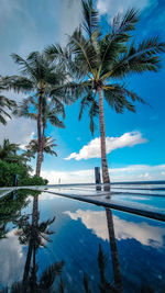 Palm tree by swimming pool against sky