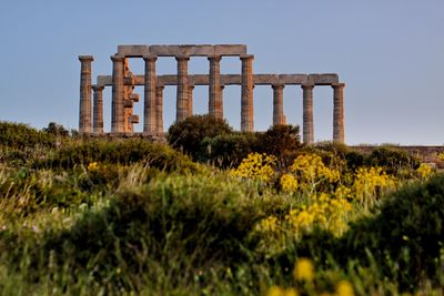 The temple of poseidon with vegetation in the foreground.