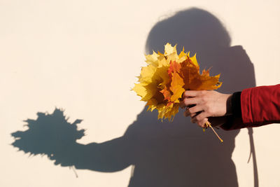 Close-up of hand holding yellow flower against clear sky