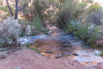 Stream flowing through rocks