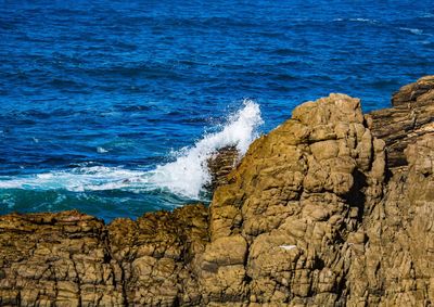 Scenic view of rocky beach