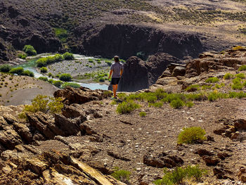Rear view of woman standing on rock