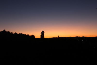 Silhouette trees against clear sky during sunset