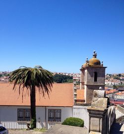 Palm trees against blue sky