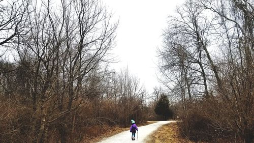 Rear view of man standing on bare trees against sky