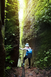 Rear view of man standing in forest