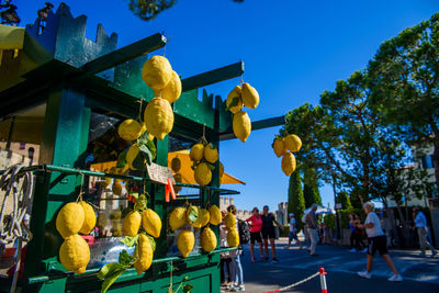 Low angle view of fruits and trees against blue sky