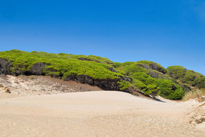 Scenic view of land against clear blue sky