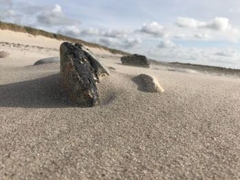 Surface level of sand on beach against sky