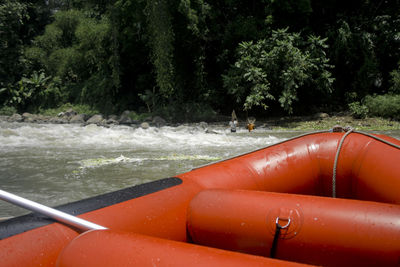 Scenic view of sea seen through trees