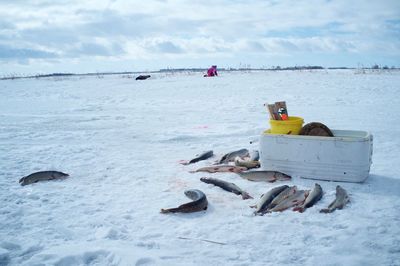 People on beach against sky during winter