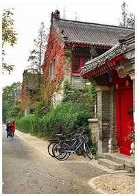 Road along buildings