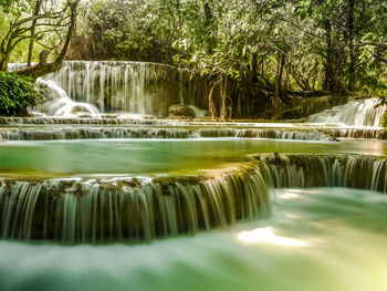 Scenic view of waterfall in forest