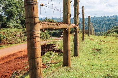 Scenic view of a barbed wire fence against a dirt road in the aberdare national park, kenya