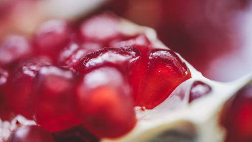 Close-up of red berries