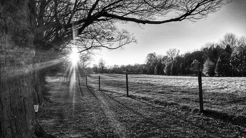 Footpath in park