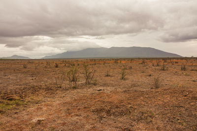 View of savannah grassland landscapes against a mountains at the tsavo east national park in kenya