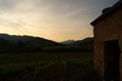 Scenic view of field against sky during sunset