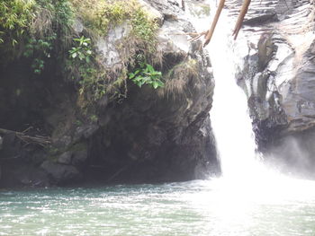 Scenic view of waterfall in forest