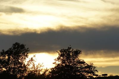 Low angle view of silhouette trees against sky during sunset