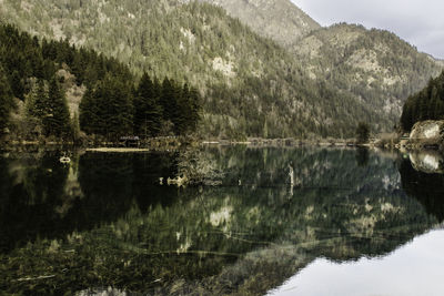 Scenic view of lake by trees against sky