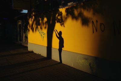 Silhouette man standing on footpath at sunset