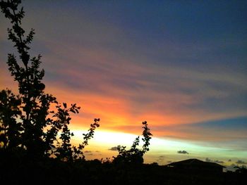 Silhouette trees against sky at sunset