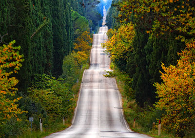 Empty road on rolling landscape in autumn