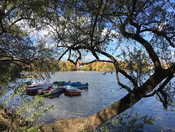Scenic view of lake against trees