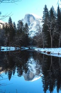 Reflection of trees in lake against clear sky