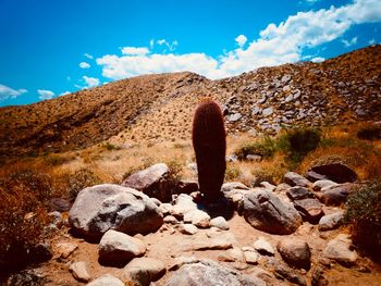 Scenic view of rocks on land against sky