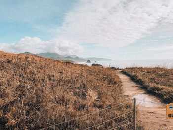 Scenic view of field against sky