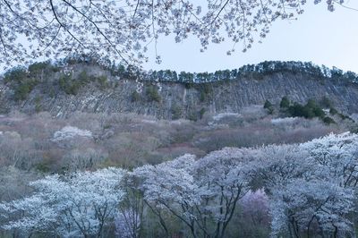 Scenic view of mountains