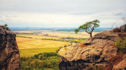 Scenic view of landscape against sky