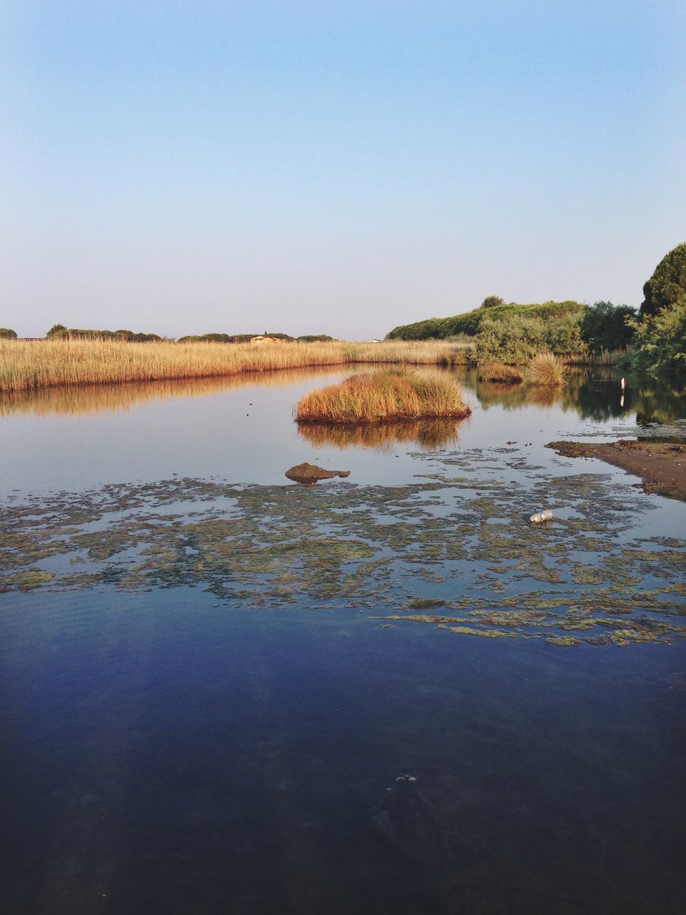 water, clear sky, reflection, copy space, tranquil scene, tranquility, lake, scenics, beauty in nature, nature, blue, waterfront, standing water, tree, river, idyllic, calm, sky, day, no people