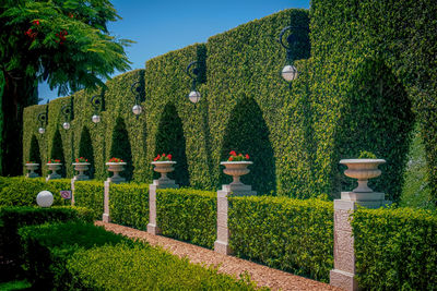 View of sculpture in garden