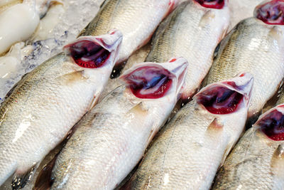 High angle view of fish for sale in market