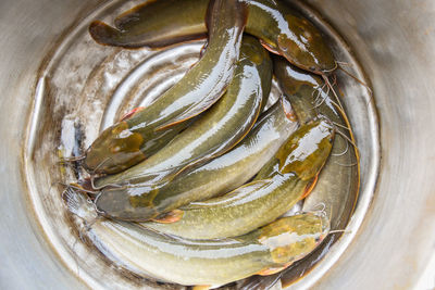 High angle view of fish in plate