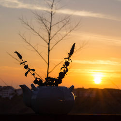 Close-up of silhouette tree against sky during sunset