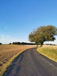 Road amidst trees on field against blue sky